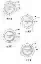 Fig. 32 - Molded clear ice spheres