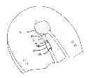 Fig. 01 - DECORATIVE ORNAMENTAL BEADS