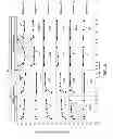 Fig. 07 - Bulk annealing of glass sheets