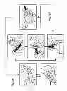 Fig. 09 - Capillary manipulation of clinical samples