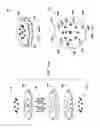 Fig. 10 - LAMINATED ROTOR APPARATUS AND METHODS