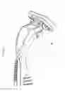 Fig. 07 - Shaving systems