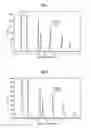 Fig. 06 - Capillary column