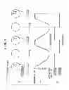 Fig. 05 - Press machine and method for adjusting slide position thereof