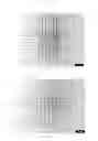Fig. 02 - SELF-BINDING PIGMENT HYBRID