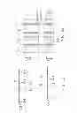 Fig. 07 - Open-flow solar collector