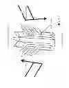Fig. 19 - Cannula for minimizing dilution of dosing during nitric oxide delivery