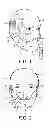 Fig. 02 - HEADGEAR APPARATUS FOR NASAL INTERFACE