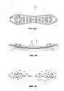 Fig. 06 - Hair clipping device