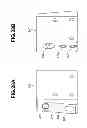 Fig. 27 - Cleaning/disinfecting apparatus
