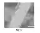 Fig. 07 - Method for manufacturing anti-reflective coating for solar cell having moth-eye structure and solar cell incliding the same