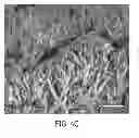 Fig. 09 - Method for manufacturing anti-reflective coating for solar cell having moth-eye structure and solar cell incliding the same