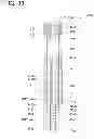 Fig. 34 - Fuel supply apparatus