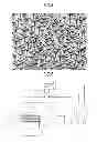Fig. 04 - NON-PLASMA DRY ETCHING APPARATUS