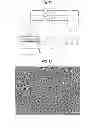 Fig. 08 - NON-PLASMA DRY ETCHING APPARATUS