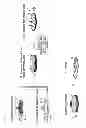 Fig. 02 - Laminate and method for separating the same
