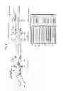 Fig. 02 - Air conditioning system using deep seawater