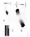 Fig. 27 - ELECTROKINETICS-ASSISTED SENSOR