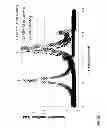 Fig. 34 - ELECTROKINETICS-ASSISTED SENSOR