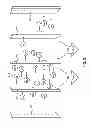 Fig. 03 - Nanoengineered field induced charge separation membranes manufacture thereof