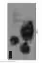 Fig. 09 - Tool storage devices