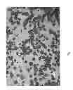 Fig. 02 - Oil emulsification and polycyclic aromatic hydrocarbon adsorption using fine particles as dispersants