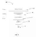 Fig. 02 - Combinatorial processing using a remote plasma source
