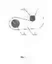 Fig. 05 - Side container