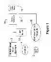 Fig. 02 - System and method for securely authorizing and distributing stored-value card data