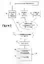 Fig. 10 - System and method for securely authorizing and distributing stored-value card data