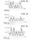 Fig. 04 - Absolute encoder