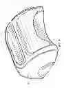 Fig. 06 - Devices and methods for curing nail gels
