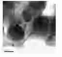 Fig. 01 - PARTICULATE MIXTURE, ACTIVE MATERIAL AGGREGATE, CATHODE ACTIVE MATERIAL, CATHODE, SECONDARY BATTERY, AND METHODS FOR PRODUCING THE SAME