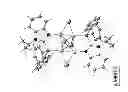Fig. 01 - Copper(I) complexes, in particular for optoelectronic components