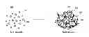 Fig. 01 - Ceramic composition having dispersion of nano-particles therein and methods of fabricating same