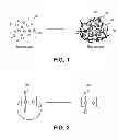 Fig. 02 - Composition having dispersion of nano-particles therein and methods of fabricating same