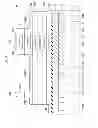 Fig. 04 - Semiconductor light emitting device having patterns
