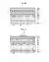 Fig. 49 - Semiconductor light emitting device having patterns