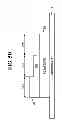 Fig. 09 - Organic light emitting diode display and method for fabricating the same