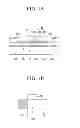 Fig. 02 - Thin film transistor, thin film transistor array panel including the same, and method of manufacturing the same