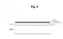 Fig. 07 - Nitride semiconductor light-emitting element having superior leakage current blocking effect and method for manufacturing same