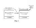 Fig. 02 - Silicon carbide semiconductor devices having nitrogen-doped interface