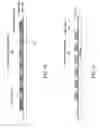 Fig. 09 - Phosphor cap for LED die top and lateral surfaces