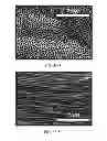 Fig. 08 - OPTOELECTRONIC DEVICE AND METHOD FOR MANUFACTURING THE SAME