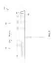 Fig. 04 - Charge Trapping Split Gate Embedded Flash Memory and Associated Methods