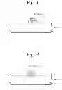 Fig. 02 - Transistor and method of fabricating the same