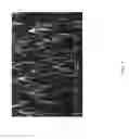 Fig. 03 - Fabrication of three-dimensional high surface area electrodes