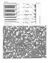 Fig. 04 - Fingerprint-erasing cured film, method for manufacturing same, display and touch panel using same, and electronic device using these