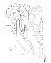 Fig. 03 - Rear structure of saddle riding type vehicle