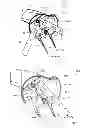 Fig. 06 - FOLDABLE STROLLER FRAME HAVING THREE SECTIONS JOINED TO AND FOLDABLE AROUND A COMMON HUB STRUCTURE